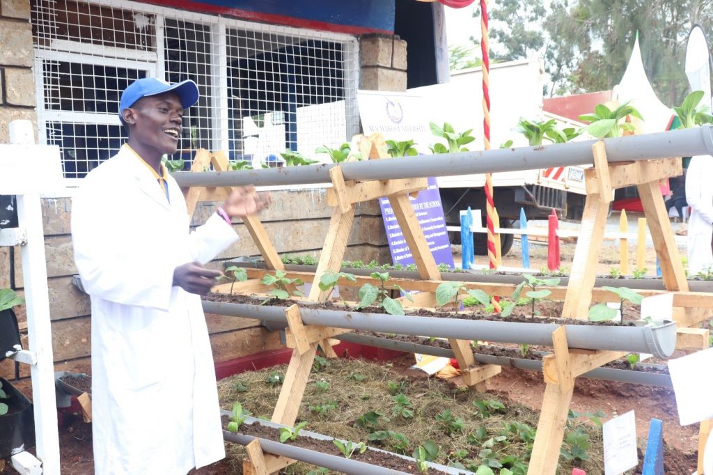 Crop seed varieties and their management, drip irrigation system and vertical gardens. New solar panel technology and solar powered irrigation system to boost agribusiness 